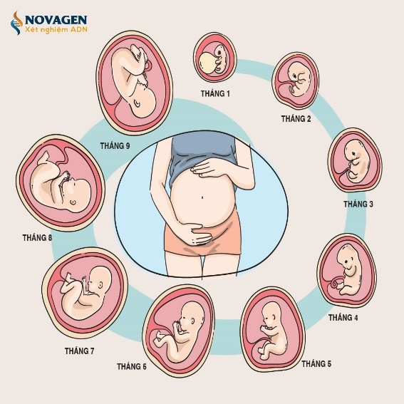Hình minh họa câu hỏi